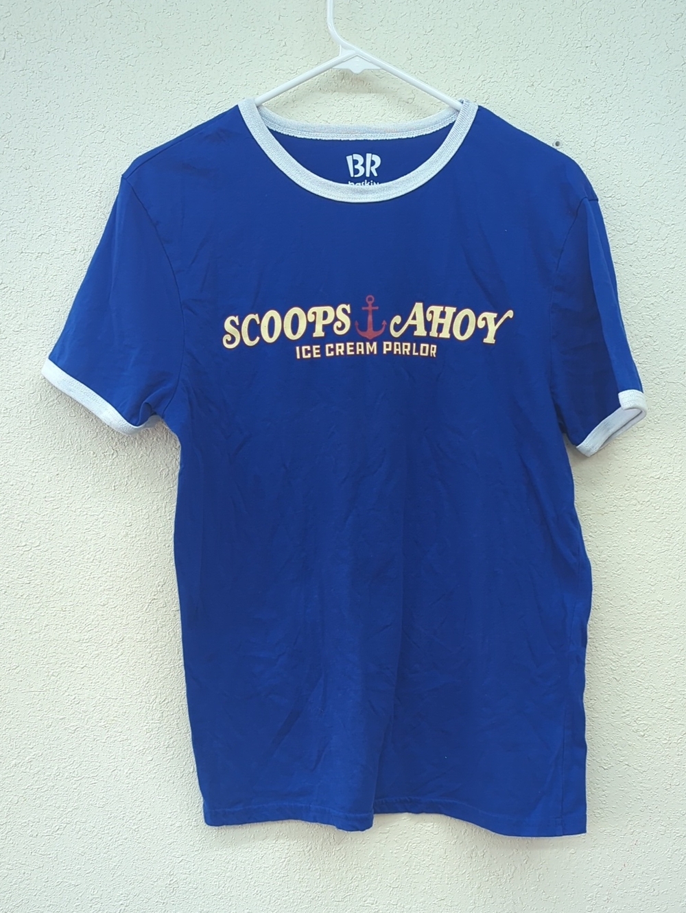 Baskin Robbins Skoops Ahoy Ice Cream Graphic